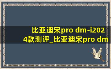 比亚迪宋pro dm-i2024款测评_比亚迪宋pro dm-i2024款哪个配置